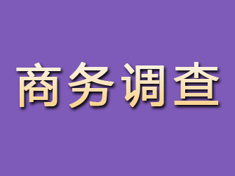 贵池商务调查